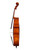 Professional Level  Goffriller Cello 4/4 One Piece Back #79