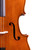Professional Level  Montagnana Cello 4/4 One Piece Back #80