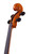 Professional Level  Goffriller Cello 4/4 Highly Flamed Maple #81