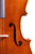 Professional Level  Goffriller Cello 4/4 Highly Flamed Maple #81
