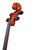 Professional Level  Goffriller Cello 4/4 Flamed Maple  #84