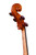 Professional Level Goffriller Cello 4/4   #90