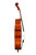 Professional Level Flamed Poplar Montagnana Cello 4/4   #95