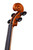 Professional Guarneri One Piece Back Violin 4/4  #80