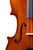 Professional Guarneri One Piece Back Violin 4/4  #80