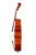 Professional Level One Piece Back Goffriller Cello 4/4   #99