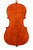 Professional Level One Piece Back Goffriller Cello 4/4   #99