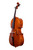 Professional Level Testore Cello 4/4 One Piece Back #100