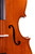 Professional Level Testore Cello 4/4 One Piece Back #100