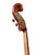 Gamba Double Bass 1/2 Antique Style #12