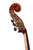 Gamba Double Bass 1/2 Antique Style #12