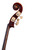 Ceruti Double Bass 4/4 Antique Style #16