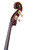 Ceruti Double Bass 4/4 Antique Style #16