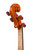 Professional Stradivari One Piece Back Violin 4/4  #83