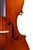 Professional Level Stradivari Cello 4/4 One Piece Back #105