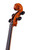 Professional Level Guarneri Cello 4/4   #32