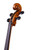 Master Level Montagnana Cello 4/4 Antique Style #71