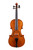 Professional Guarneri One Piece Back Violin 4/4  #89