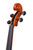 Professional Viola 16.5' Highly Flamed Maple Back  #1