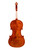 Varnished Violin 4/4  #S4