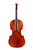 Varnished Violin 4/4  #S9