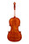 Varnished Violin 4/4  #S19