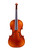 Varnished Violin 4/4  #S14
