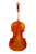 Varnished Violin 4/4  #S14