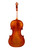 Varnished Violin 4/4  #S6