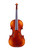 Varnished Violin 4/4  #N8
