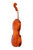 Varnished Violin 4/4  #N3