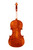 Varnished Violin 4/4  #S20