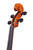 Professional Viola 15.5'  Flamed Maple #30
