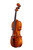 Professional Viola 15.5'  Flamed Maple #30