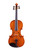 Professional Guarneri Violin 4/4  #96