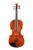Professional Stradivari Violin 4/4  #98
