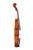 Professional Stradivari Violin 4/4  #98