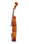 Professional Stradivari Violin 4/4  #98