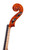 Professional Guarneri One Piece Back Violin 4/4  #100