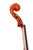 Professional Guarneri One Piece Back Violin 4/4  #100