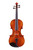 Professional Guarneri One Piece Back Violin 4/4  #100