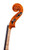 Professional Guarneri One Piece Back Violin 4/4  #101