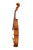 Professional Stradivari One Piece Back Violin 4/4  #102