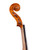Professional Stradivari One Piece Back Violin 4/4  #102