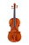 Professional Stradivari Figured Maple Violin 4/4  #103