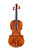 Professional Guarneri Figured Maple Violin 4/4  #104