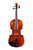 Professional Guarneri Flamed Maple Violin 4/4  #105