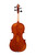 Professional Stradivari Two Pieces Back Violin 4/4  #106