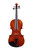 Professional Stradivari  Violin 4/4  #107