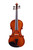Professional Guarneri  Violin 4/4  #109